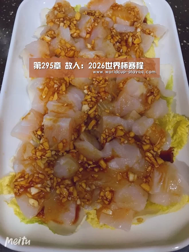 第295章 故人:2026世界杯赛程(图2) 世界杯直播