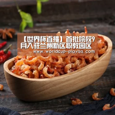 【世界杯直播】首批院校9月入驻兰州新区职教园区(图1) 2026世界杯赛程
