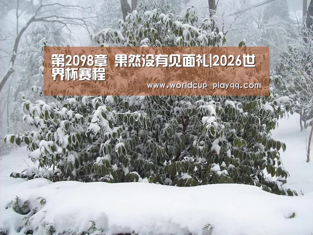 第2098章 果然没有见面礼|2026世界杯赛程(图2) 世界杯直播