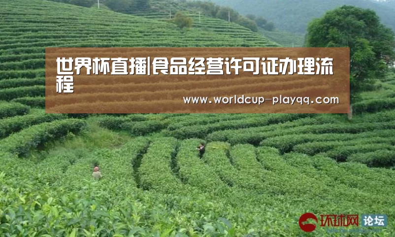 世界杯直播|食品经营许可证办理流程(图1) 世界杯直播