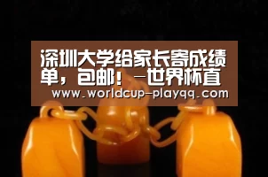 深圳大学给家长寄成绩单,包邮!-世界杯直播(图2) 世界杯直播