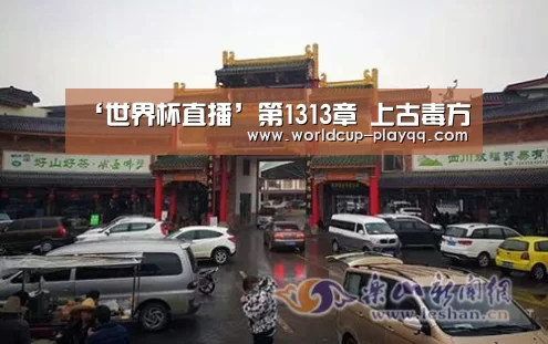 ‘世界杯直播’第1313章 上古毒方(图1) 世界杯直播