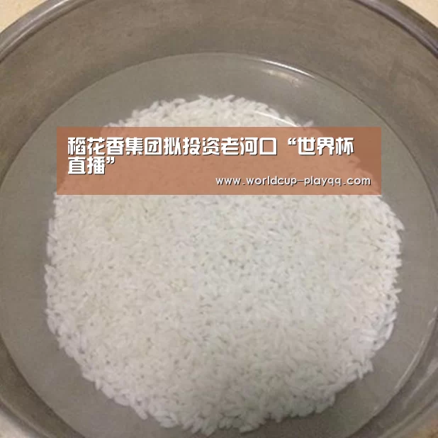 2026世界杯赛程