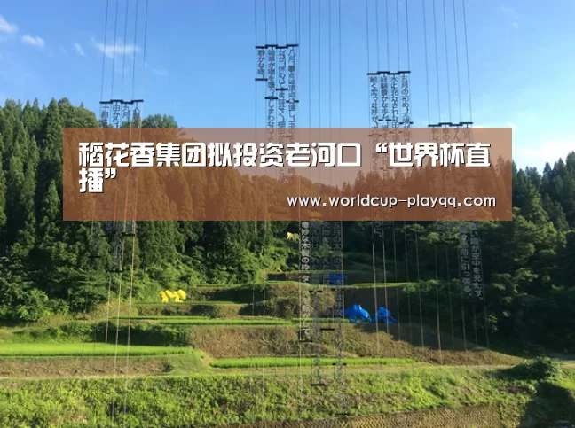 2026世界杯赛程